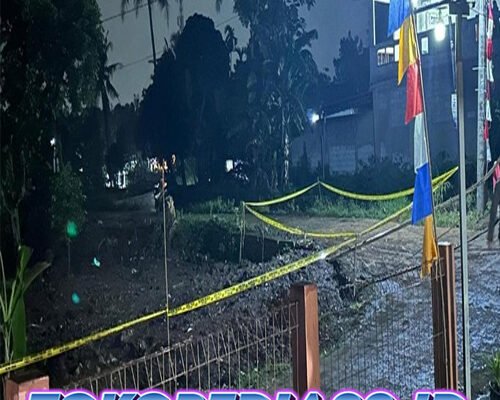 Benda Diduga Granat Manggis Ditemukan Warga di Lahan Kosong Ciseeng Bogor